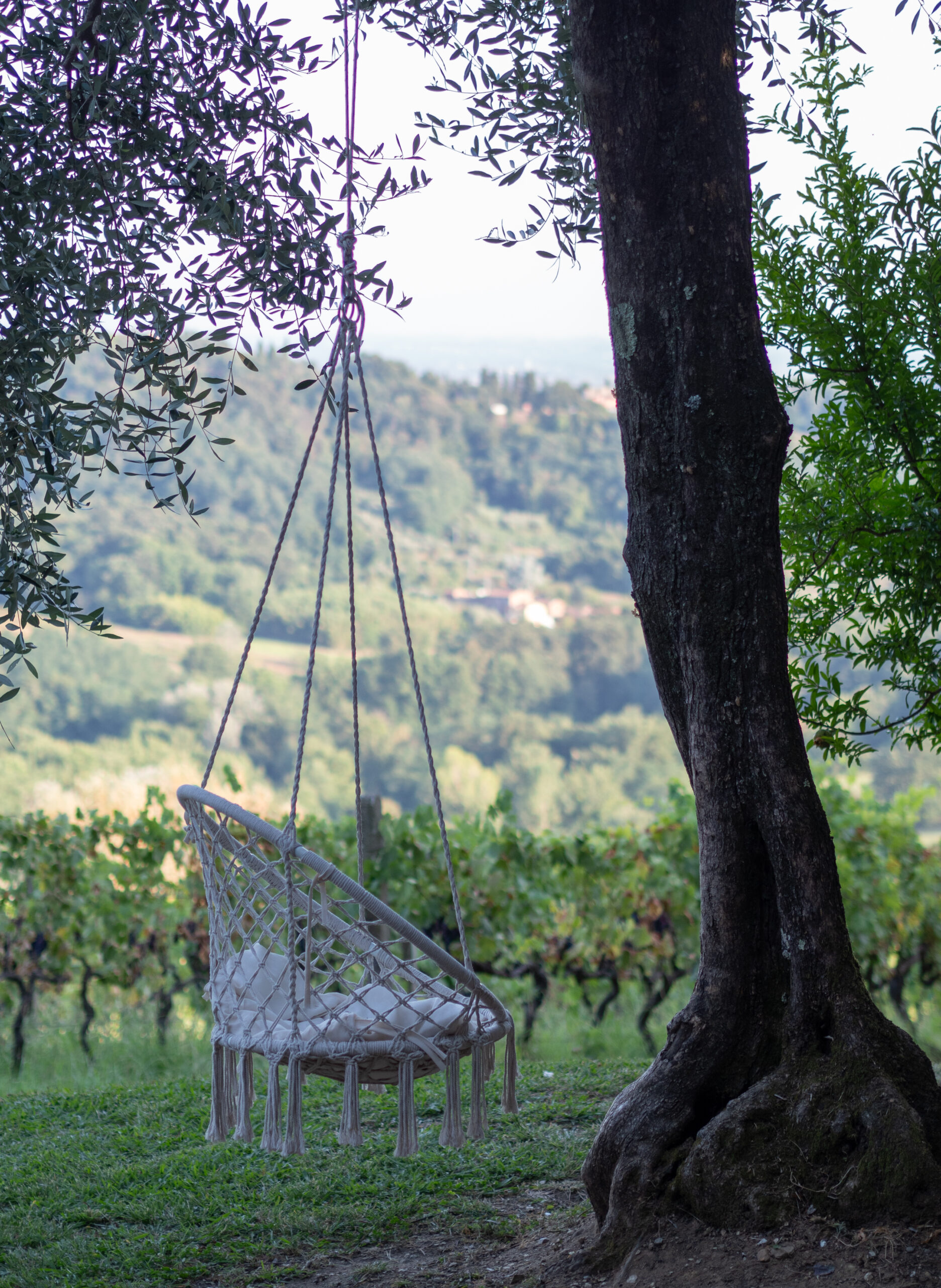 Lege stoelschommel in het bos – stille verwijzing naar herinneringen, vergankelijkheid en onvertelde verhalen.