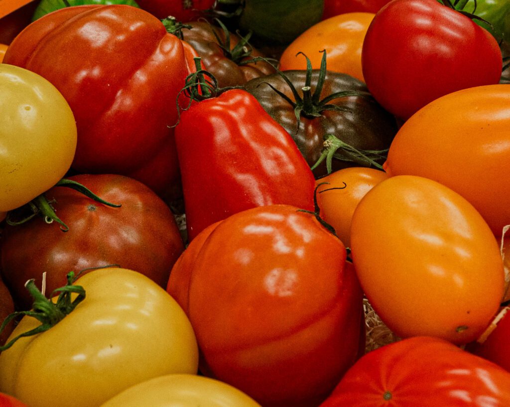 Professionele productfoto van tomaten met zachte belichting – voorbeeld van hoe compositie en licht productfotografie versterken.”