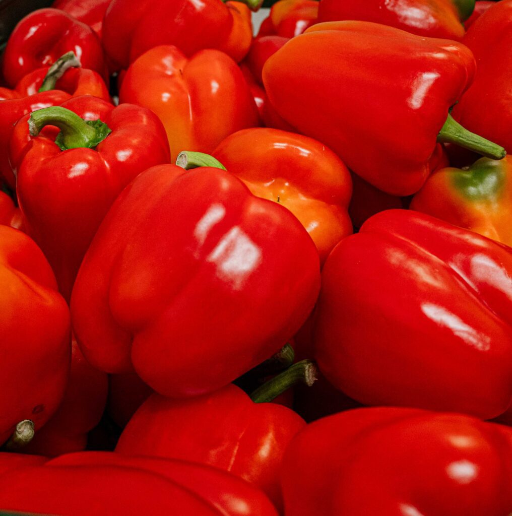 Rode paprika's