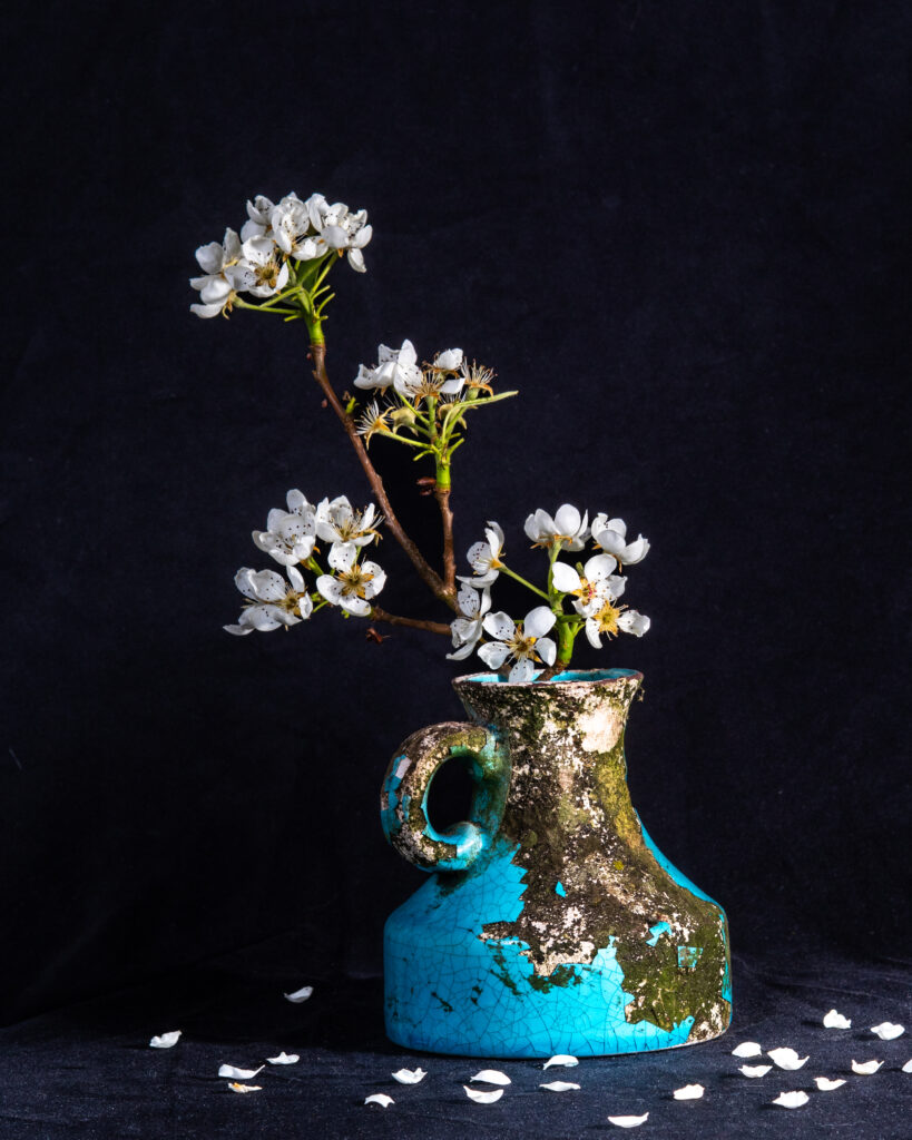 Productfoto bij raam met natuurlijk licht en reflectiescherm – goed voorbeeld van daglicht in productfotografie