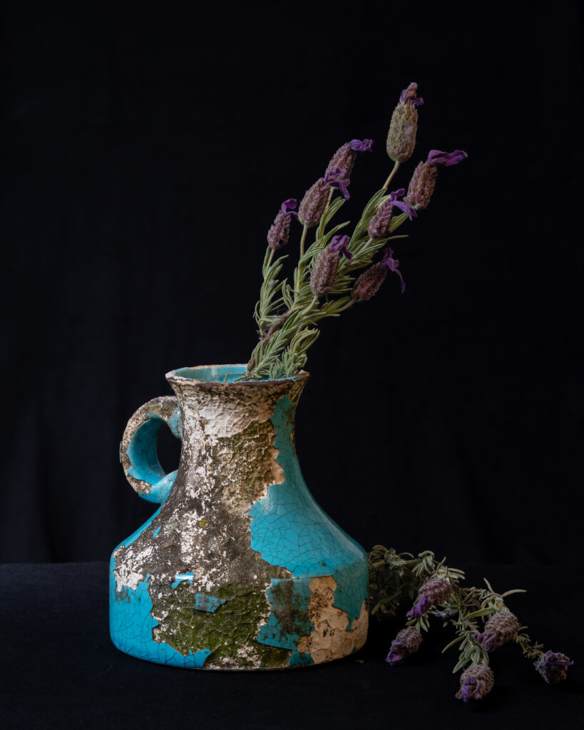 Fine art fotografie van Amstellie Studio: bloemenstillevens en natuurbeelden als kunst aan de muur, geïnspireerd door oude meesters.