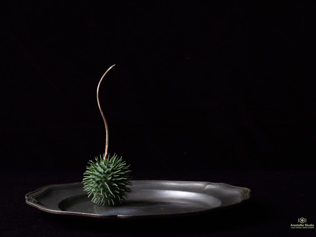 Voor en na productfoto bewerking – lichte aanpassing van contrast en kleur voor een professioneel eindresultaat.