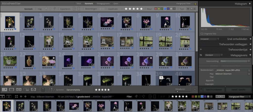 Meerdere productfoto’s in dezelfde stijl en kleurtoon – voorbeeld van visuele consistentie in een webshop